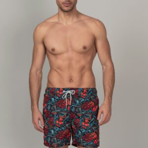 boxer